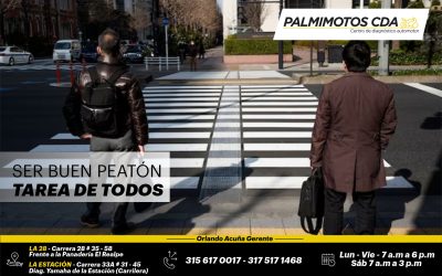 SER UN BUEN PEATÓN, TAREA DE TODOS