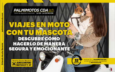 VIAJES EN MOTO CON TU MASCOTA: DESCUBRE CÓMO HACERLO DE MANERA SEGURA Y EMOCIONANTE